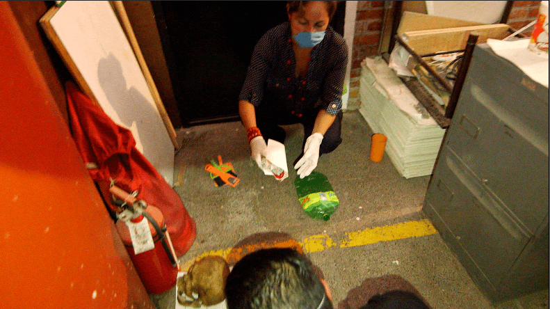 También aprenden sobre la mejor manera de recuperar restos humanos, y cómo preservarlos.