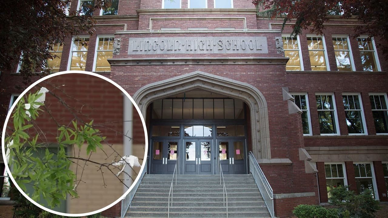 12 estudiantes de North Lincoln High School enfrentan cargos por "broma" de último año; 8 serán acusados como adultos