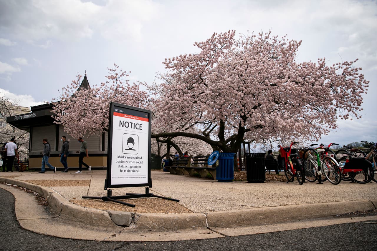 Este año, como ocurrió en 2020, 
<b>el tradicional desfile por el Cherry Blossom</b> también quedó cancelado a causa de las restricciones impuestas.