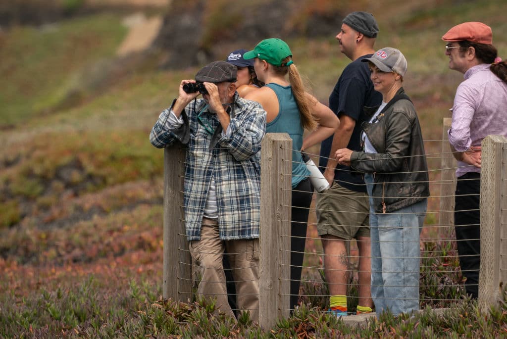Con o sin binoculares, decenas de personas se acercan a diario a las costas de Pacífica para apreciar el espectáculo gratuito de las jorobadas, 
<b>en su hábitat</b>.