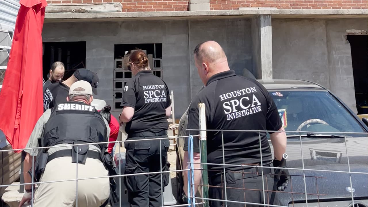 Para reportar un caso de maltrato animal, puedes llamar a las autoridades locales o hacer un requerimiento a la Sociedad Protectora de Animales de Houston, a través de su página de Internet.