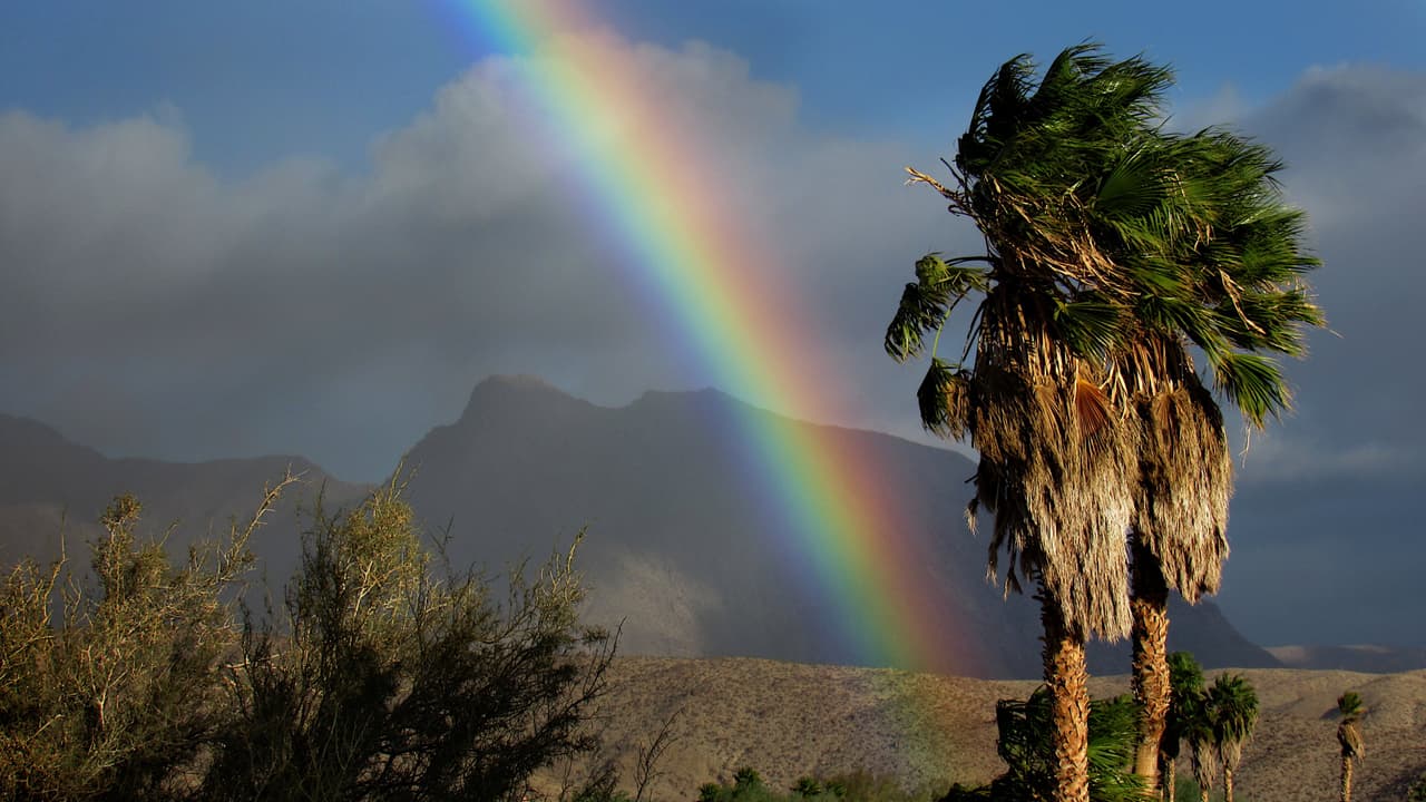 Si bien en área de Anza Borrego no nevó, los fuertes vientos y el cielo nublado fueron la combinación perfecta para crear un hermoso y muy acentuado arcoíris.