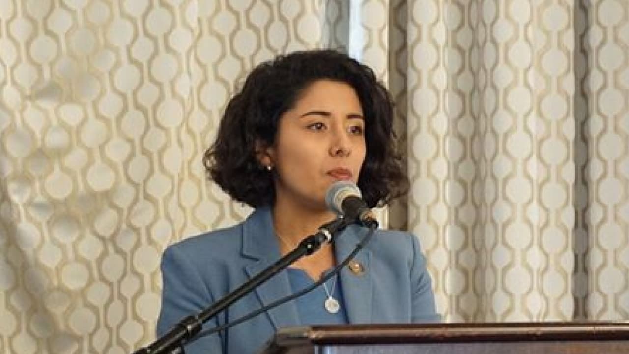 “No habrá desalojos”: Lina Hidalgo, juez del condado Harris ante emergencia del coronavirus.