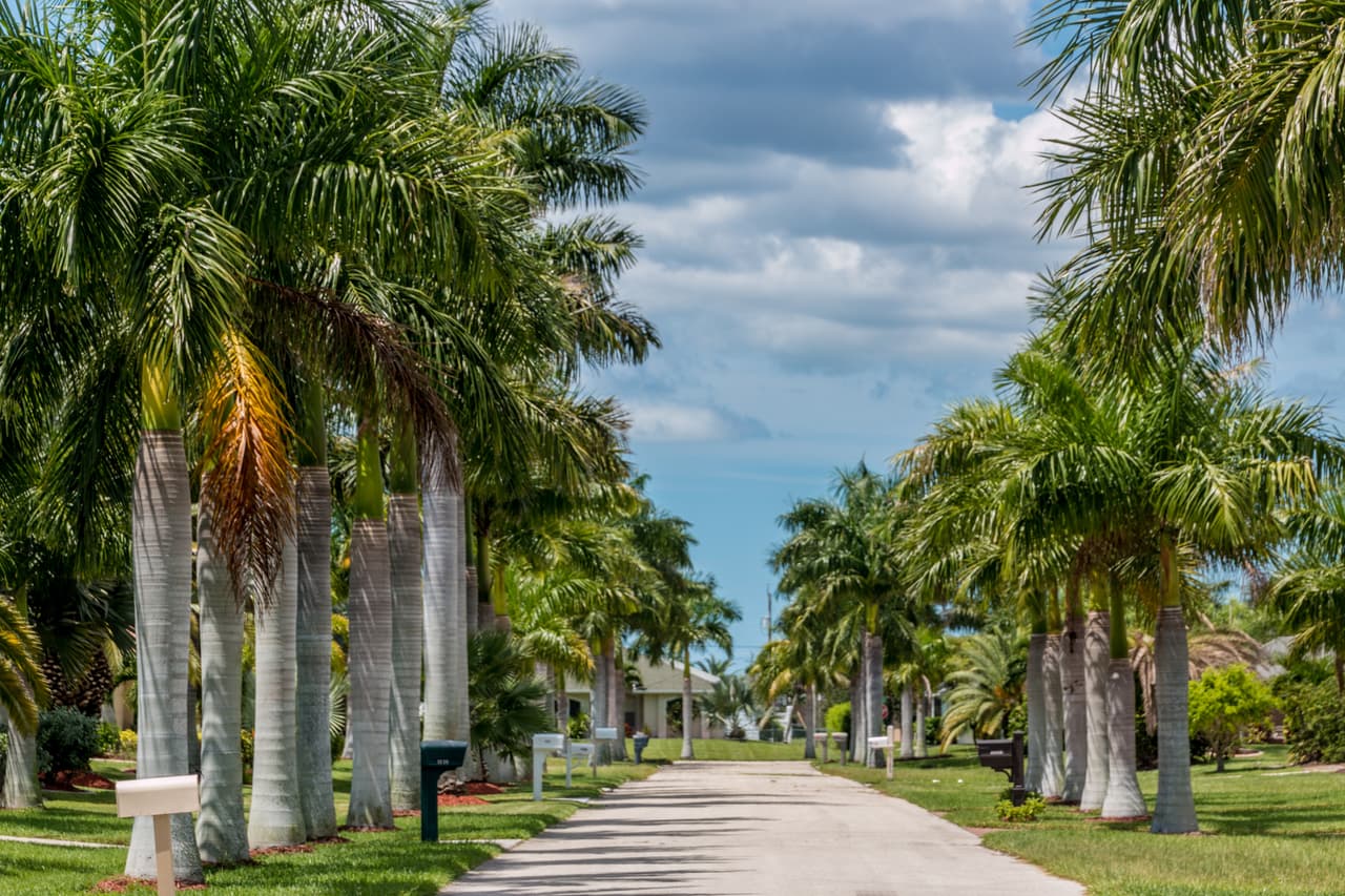 La lista termina con la ciudad de 
<b>Cape Coral</b>, en la costa oeste de Florida. Una de las zonas más ricas y desiguales del país, esta localidad tiene un 19.5% de hispanos.