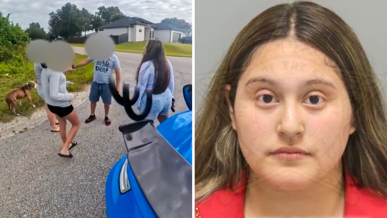 Furia al volante en Florida: Arrestan a vecina enfurecida que amenazó con un arma a una familia