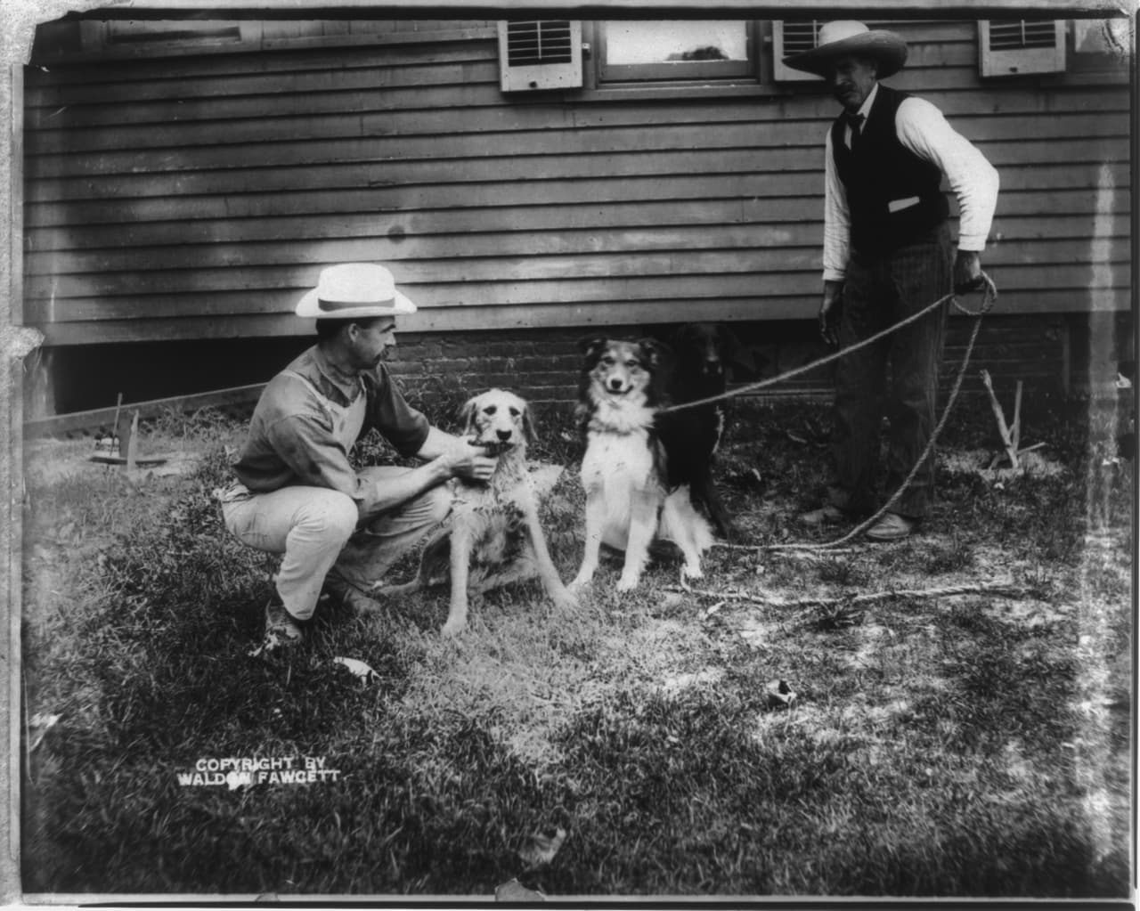 Dos de los perros que pertenecieron al presidente Theodore Roosevelt, quien ocupó la Casa Blanca desde 1901 hasta 1909. Según un reportaje de
<a href="https://www.economist.com/blogs/graphicdetail/2017/07/daily-chart-9?fsrc=scn/tw/te/bl/ed/&utm_source=The+Point+with+Chris+Cillizza&utm_campaign=a25c76fc95-EMAIL_CAMPAIGN_2017_07_19&utm_medium=email&utm_term=0_a4165679e3-a25c76fc95-82108157">The Economist, </a>este presidente tuvo seis perros, al menos 10 caballos, dos gatos, una hiena y un oso. George Washington, el primer mandatario de EEUU, tuvo al menos 17 perros.