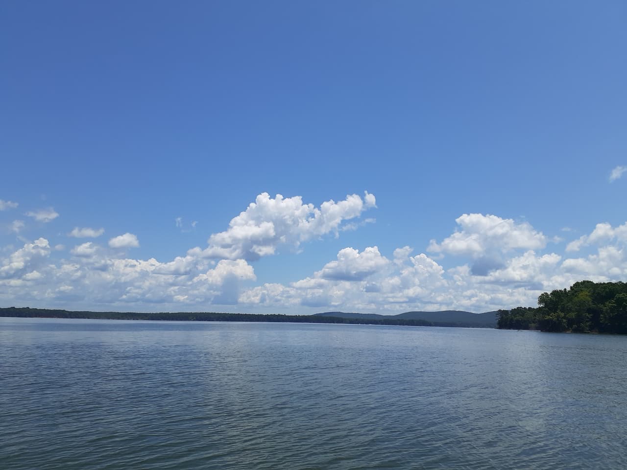 <b>High Rock Lake </b>
<br>
<b>Sitio web</b>: 
<a href="https://www.davidsoncountyedc.com/living/high-rock-lake">https://www.davidsoncountyedc.com/living/high-rock-lake</a>
<br>
<b><a href="https://goo.gl/maps/Tf3xxxM2V8xBdj4d8">Cómo llegar</a> </b>
<br>
<br>High Rock Lake tiene una población significativa de lubinas para que su familia pueda pasar el día pescando desde el muelle detrás de su casa de alquiler de vacaciones o desde un bote en el agua. Este lago admite embarcaciones personales y no limita el tamaño de los motores, por lo que es un excelente lugar para practicar esquí acuático y tubing.