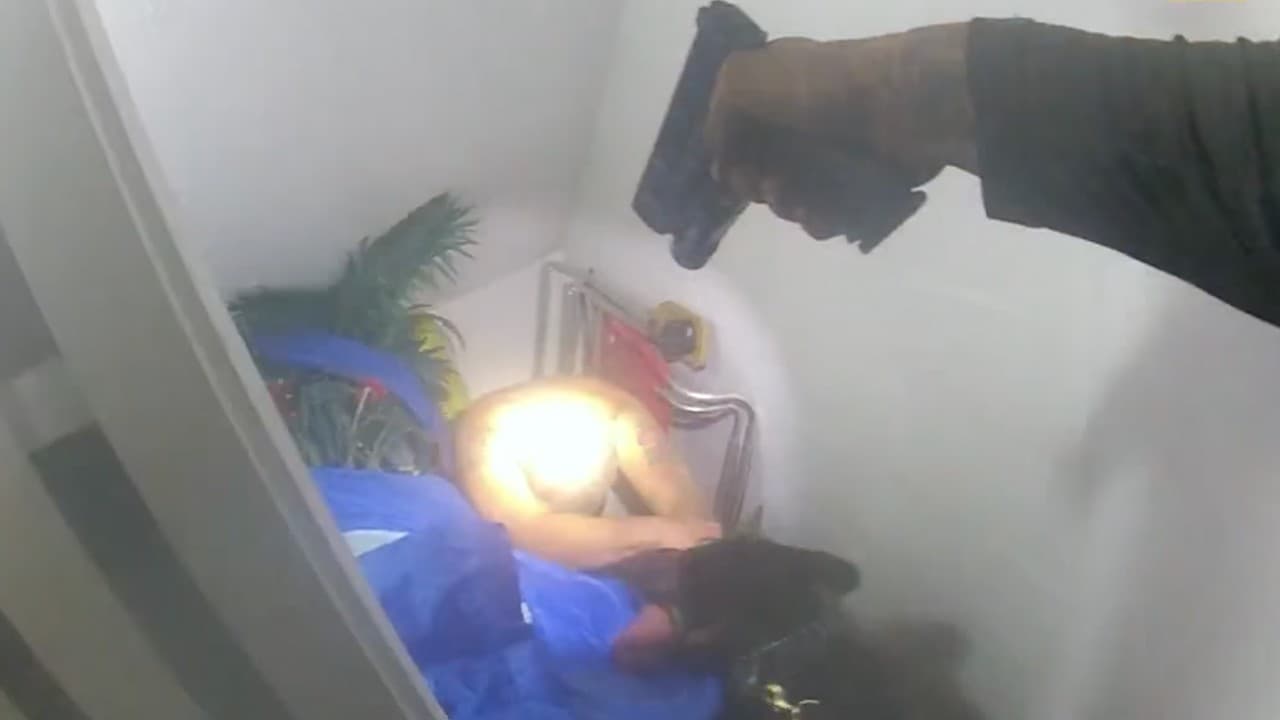 Perro policía atrapa a sospechoso escondido en el clóset de una casa en Florida