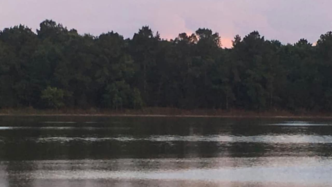 Isela Orta de Valdes nos envió esta imagen desde Spring, Texas.