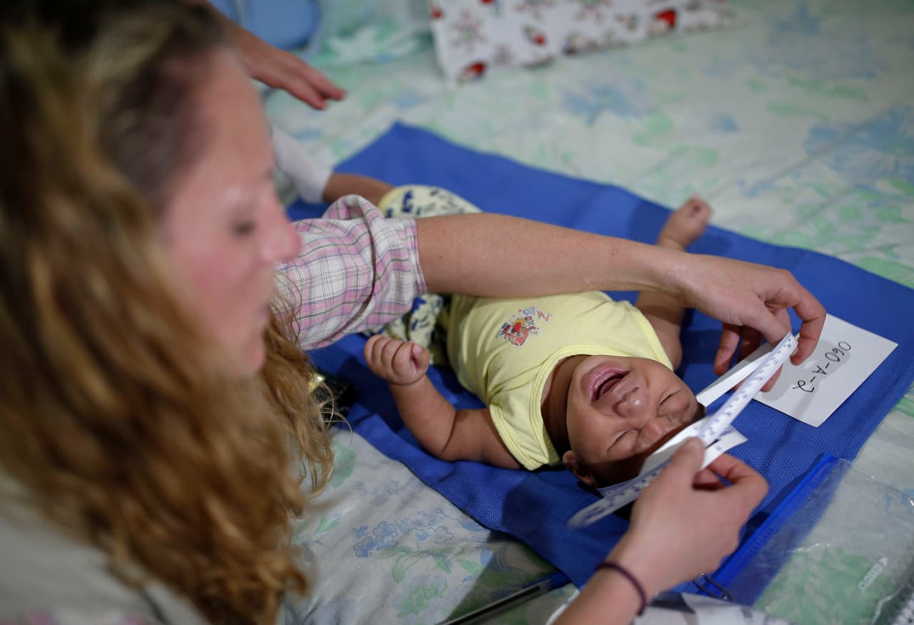 Descubren que el zika ataca las células cerebrales del feto