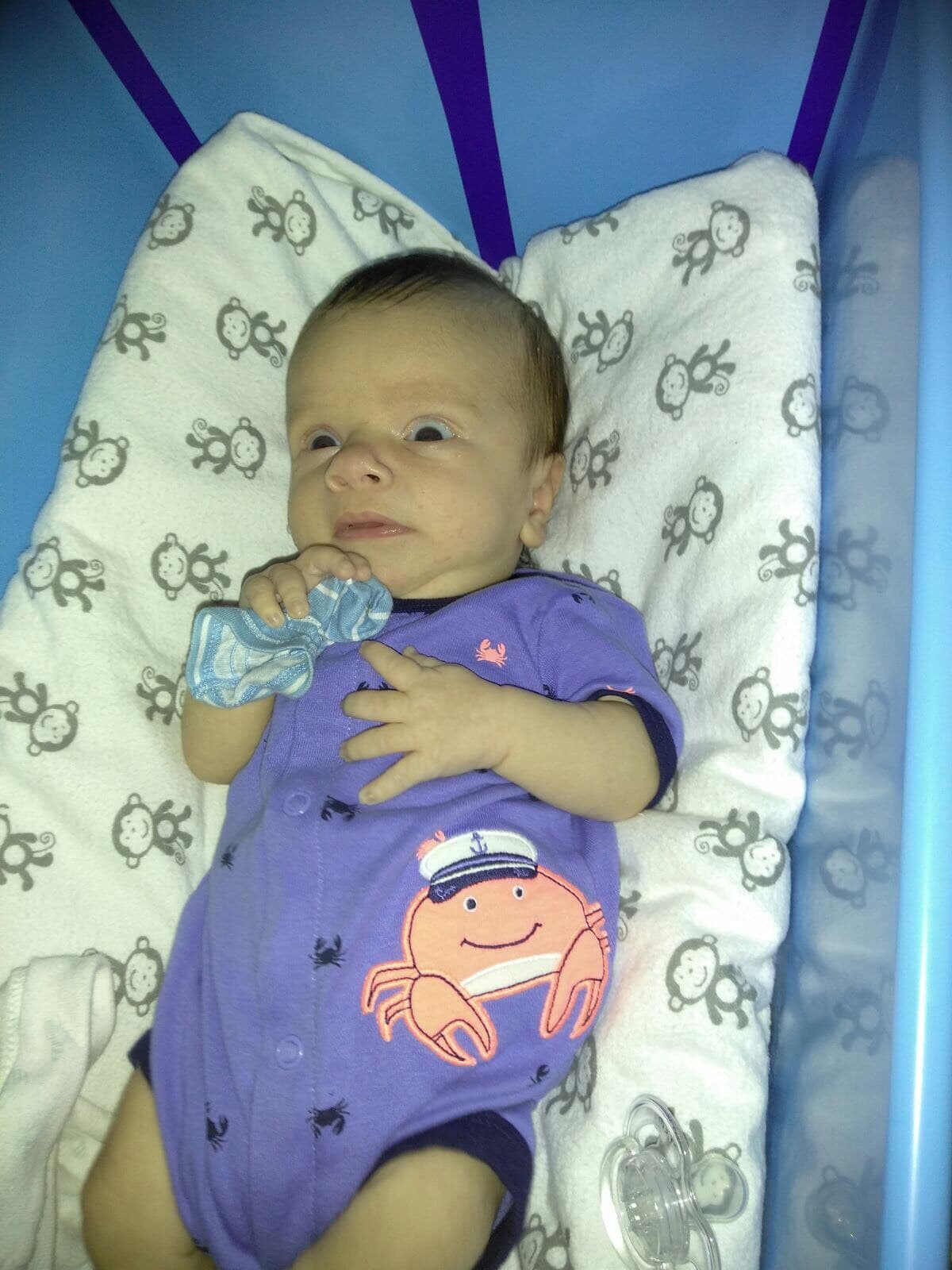 ¿Ese cangrejito en su ropita no es el de la película ‘La Sirenita’ que también se llama Sebastián?
<br>