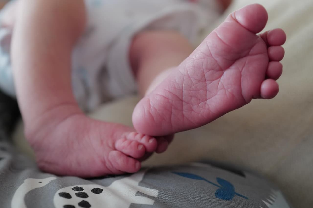 Michelle Renaud y Matías Novoa recibieron a Milo finalmente.