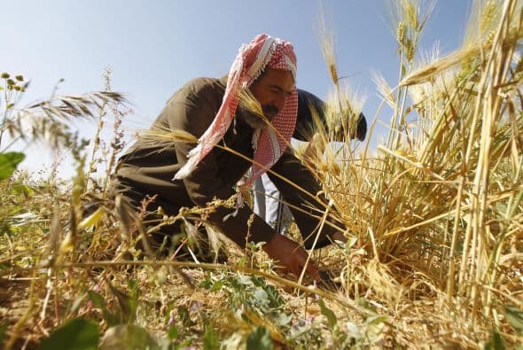 La tercera posición es para Palestina, una de las naciones en las que los trabajadores han sido despedidos o suspendidos por tratar de negociar mejores condiciones de trabajo.