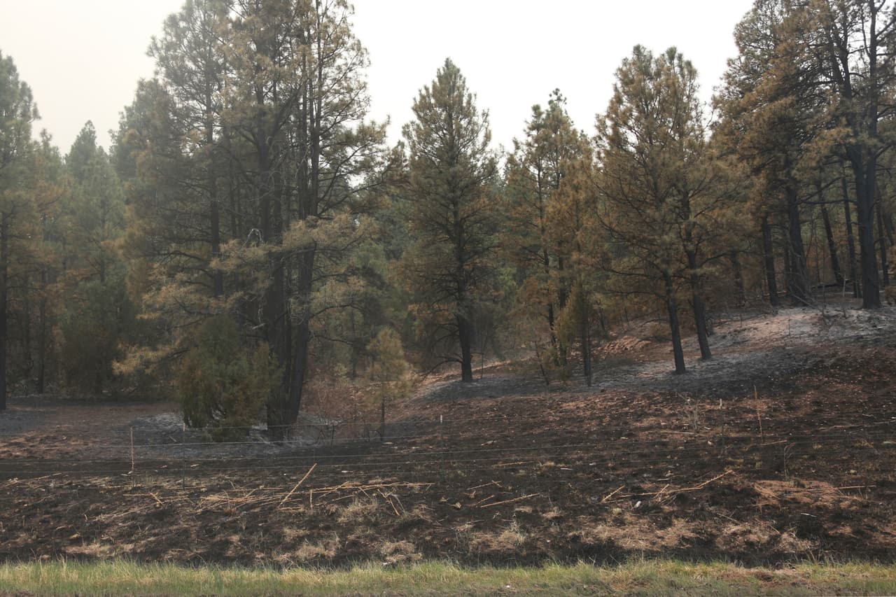 Después de algunos días de calma que permitieron que algunas familias que habían huido de 
<a href="https://www.univision.com/noticias/sucesos/destructivos-incendios-golpean-suroeste-eeuu-nuevo-mexico-nebraska-arizona-fotos" target="_blank">los incendios forestales en el noreste de Nuevo México</a> regresaran a sus hogares, vientos peligrosos se levantaron nuevamente el domingo y amenazaron con esparcir chispas que podrían causar nuevos incendios y complicar el trabajo de los bomberos.