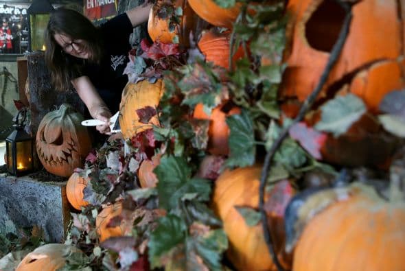 Se podrá disfrutar de un ambiente terrorífico y mucha diversión.