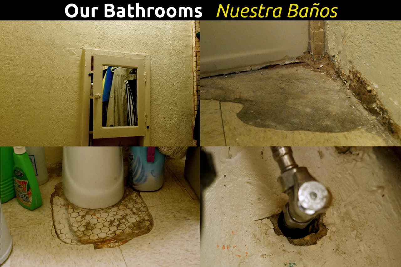 Inquilinos denuncian pisos con moho y en mal estado.