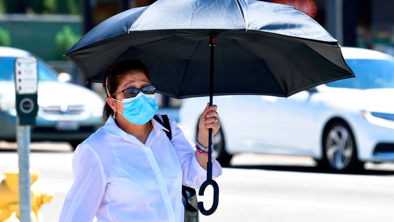 Habilitan biblioteca pública como centro de registro para la vacuna contra el Coronavirus