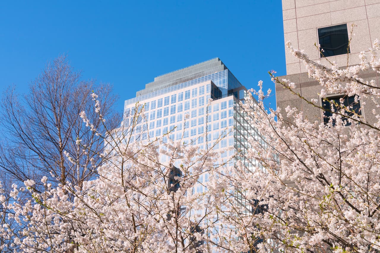 Es hora de que entres en acción. ¡Aprovecha para 
<b>inmirtalizar esta primavera con bellas fotografías de los árboles de cerezos en flor! </b>