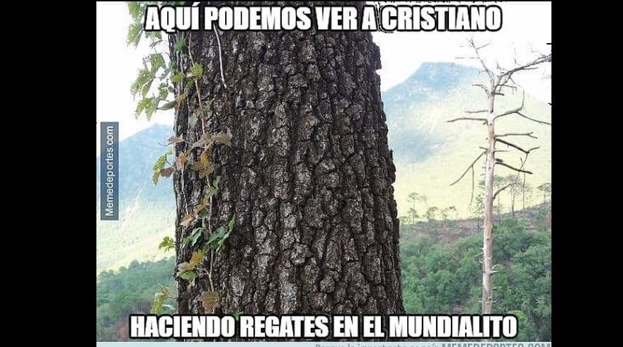 Los japoneses fueron aplaudidos por el juego que le brindaron a uno de los mejores equipos del mundo.