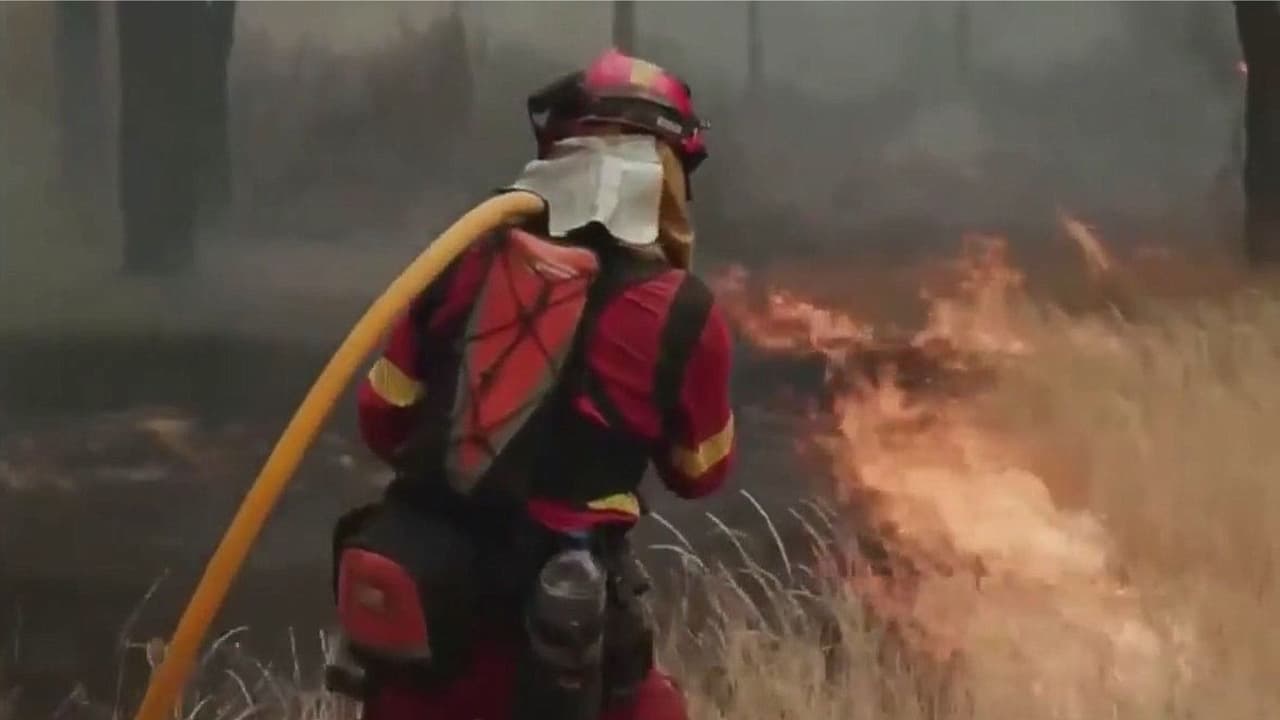 Ola de incendios sin precedentes alrededor del mundo: Experto analiza el impacto del calor extremo y el cambio climático