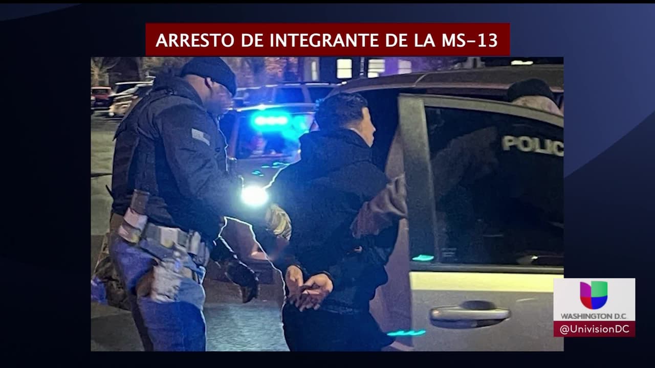 Detienen a integrante de la MS-13 que fue condenado por un homicidio en 2018