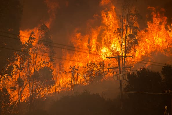 Hasta el momento se desconoce qué originó las llamas el 11 de octubre a las 2:10 pm cerca del embalse de Alisal y que fueron empujadas por los fuertes vientos en la zona al punto de cruzar la autopista 101 y continuar su propagación sobre la zona de montaña en la costa de Santa Bárbara.