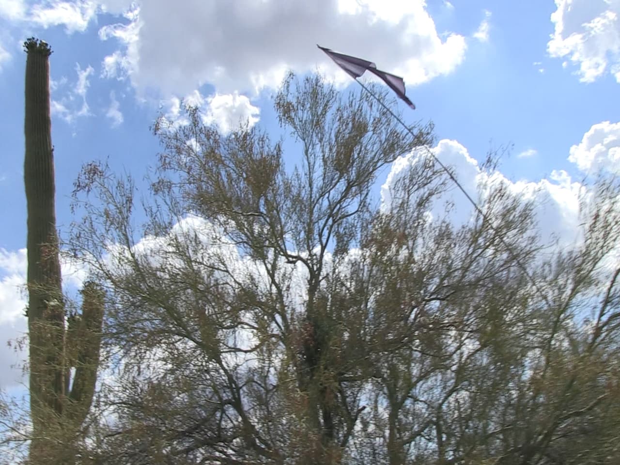 Una bandera azul en un poste de unos 30 pies avisa a los inmigrantes de las estaciones de agua