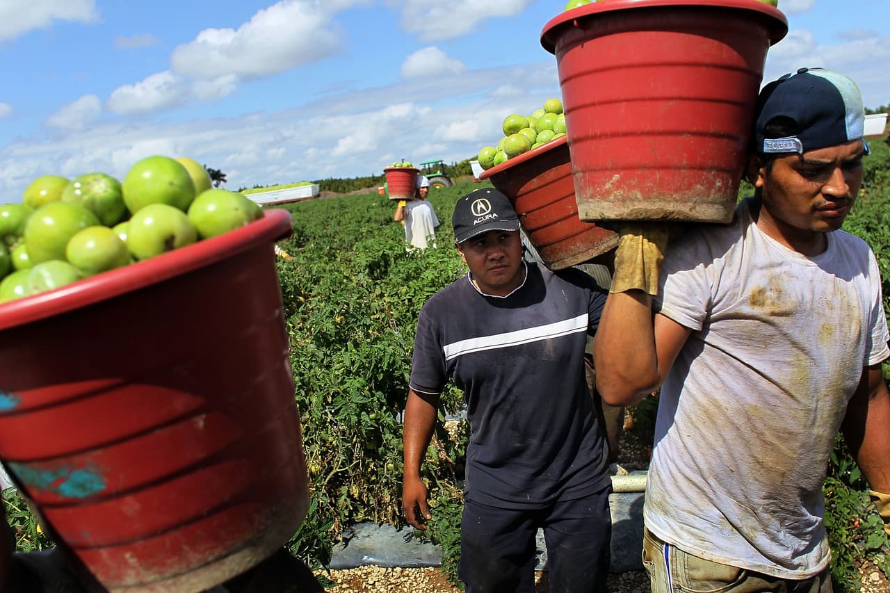 Los inmigrantes son necesarios para el crecimiento económico de EEUU, indican estudios (a pesar de lo que dice Trump)
