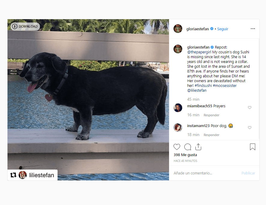 Hasta su prima, la cantautora 
<b><a href="https://www.instagram.com/p/B1L_WeulY3s/" target="_blank">Gloria Estefan</a></b>, se unió a la búsqueda de Sushi. En su perfil de Instagram, republicó el mensaje de Lili Estefan y añadió algunos detalles.