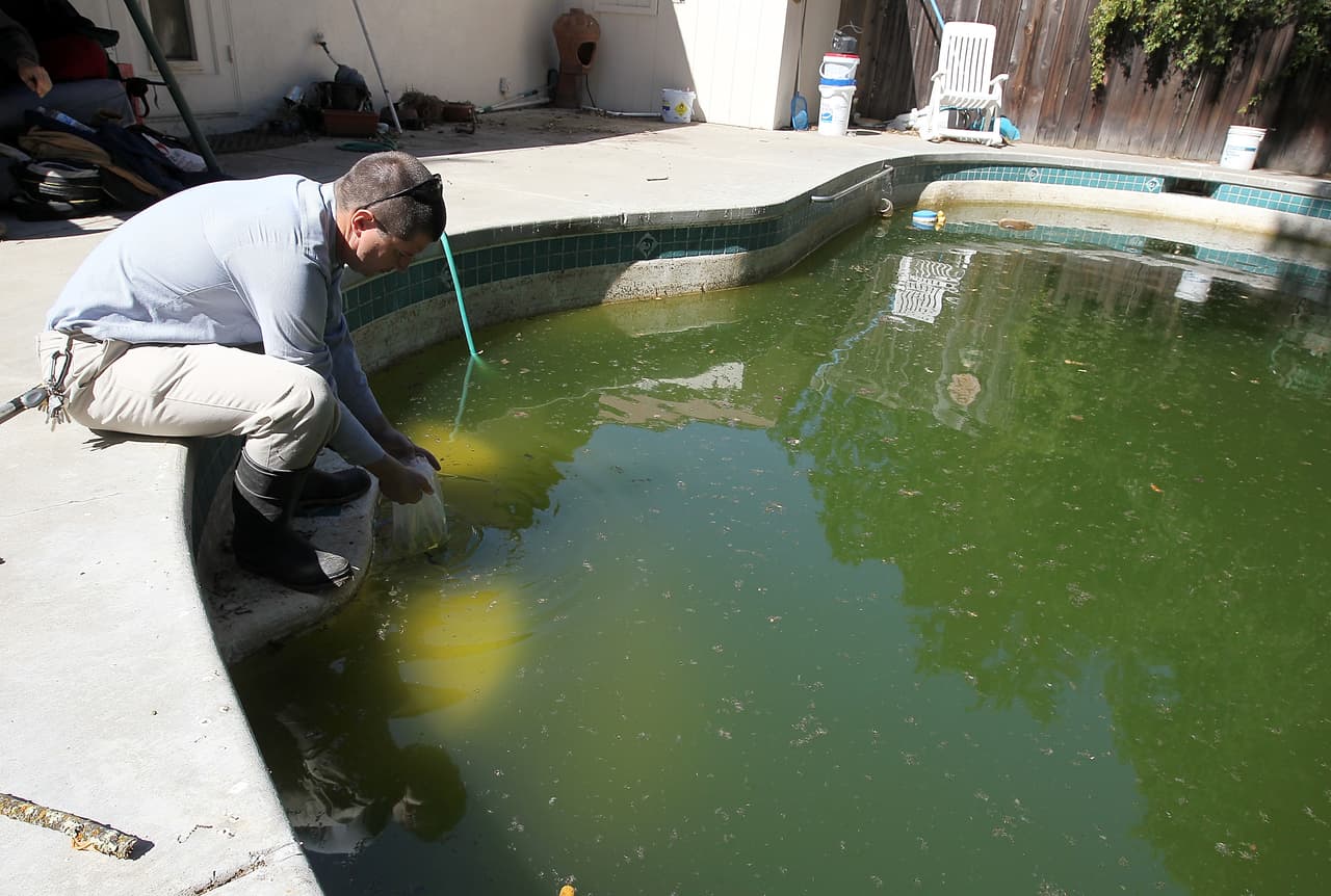 Es importante deshacerse de los lugares donde los mosquitos ponen huevos, especialmente de aguas estancadas.