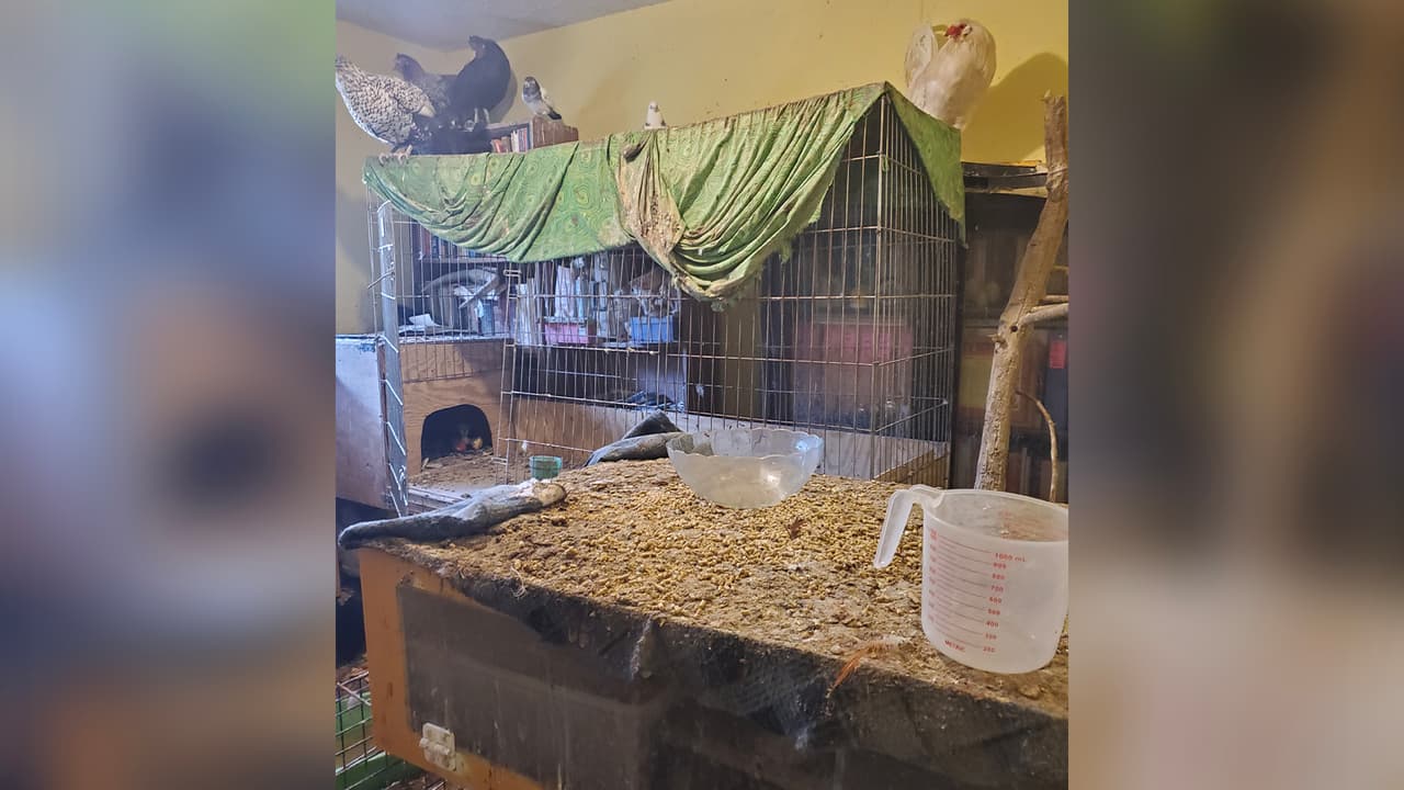 La vivienda está ubicada en la cuadra 2700 de la calle Leichester, al norte de Houston.