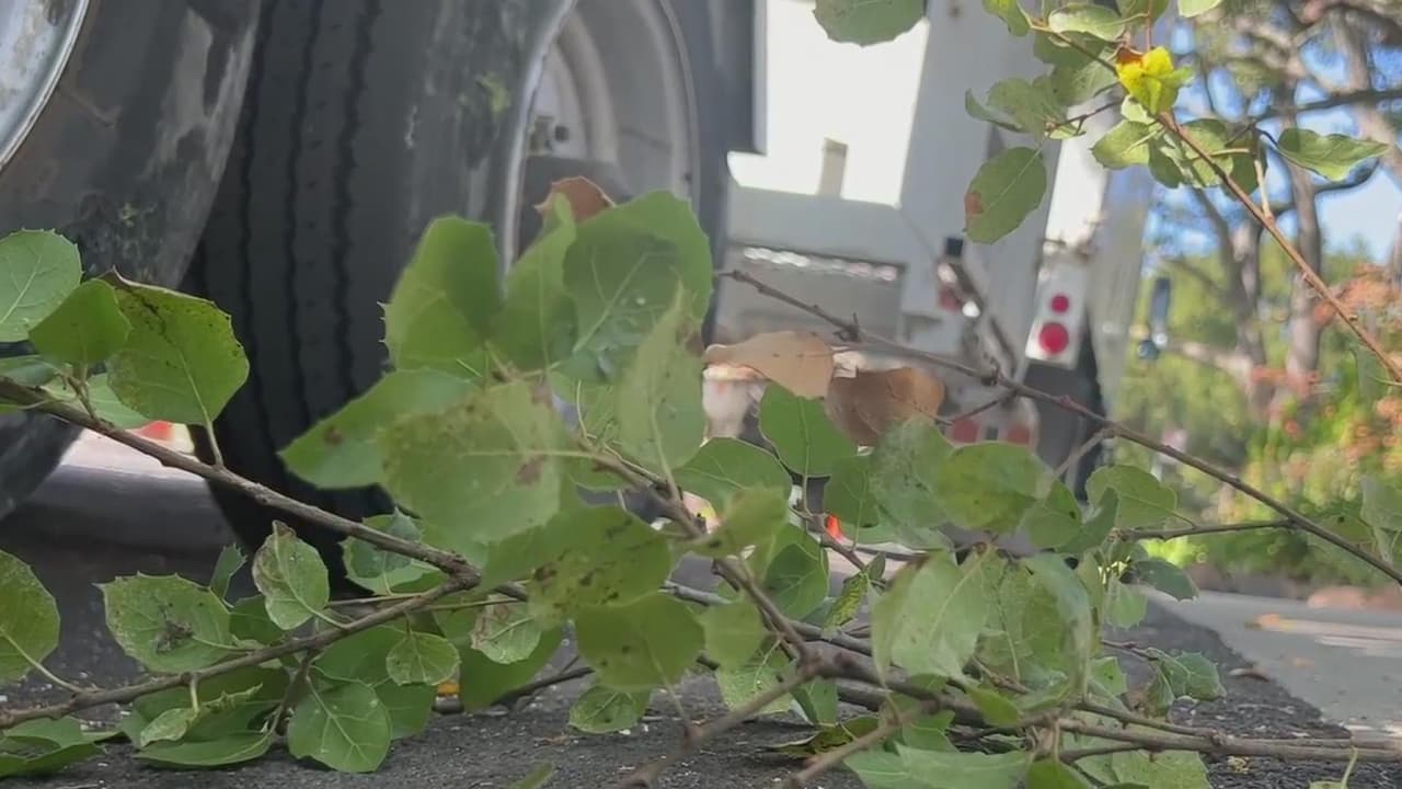 <b>Video.</b> Cal/OSHA explicó, tras la muerte de Jesús, cómo reportar un accidente de trabajo para recibir una posible compensación.