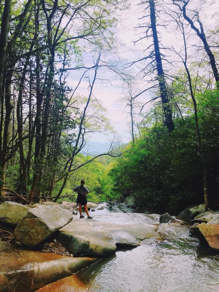 <b><a href="https://blueridgeconservancy.org/glen-burney-trail">Número 4: Glen Burney Trail</a></b>. El sendero Glen Burney está ubicado en el corazón de Blowing Rock aproximadamente a 0,5 millas de los senderos Blue Ridge Parkway Moses Cone y del sendero Mountains to Sea. El comienzo del sendero está ubicado en la ciudad adyacente al lago Mayview y al parque Annie Cannon con fácil acceso público. El sendero se considera un viaje extenuante de ida y vuelta de 3.2 millas de ida y vuelta.