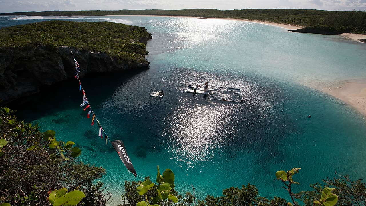 Las Bahamas se caracterizan por sus hermosas playas y vistas de ensueño, pero hay un lugar que le da mayor fascinación: El Gran Agujero Azul de Bahamas.