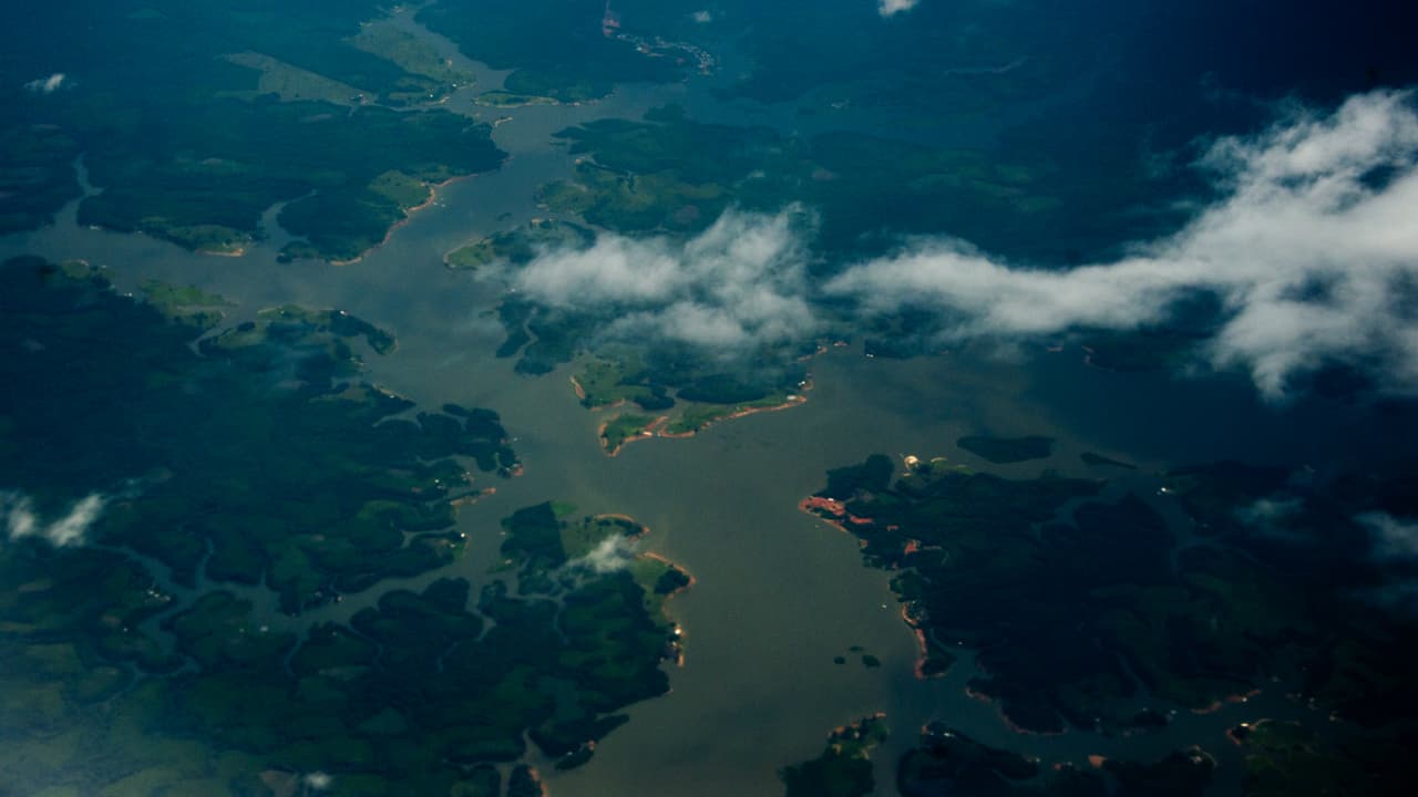 Con una extensión de casi seis millones de kilómetros repartidos entre ocho países sudamericanos, Brasil y Perú son los que poseen la mayor extensión de la amazonia. Seguidos por Bolivia, Colombia, Ecuador, Guyana, Venezuela y la Guayana Francesa.