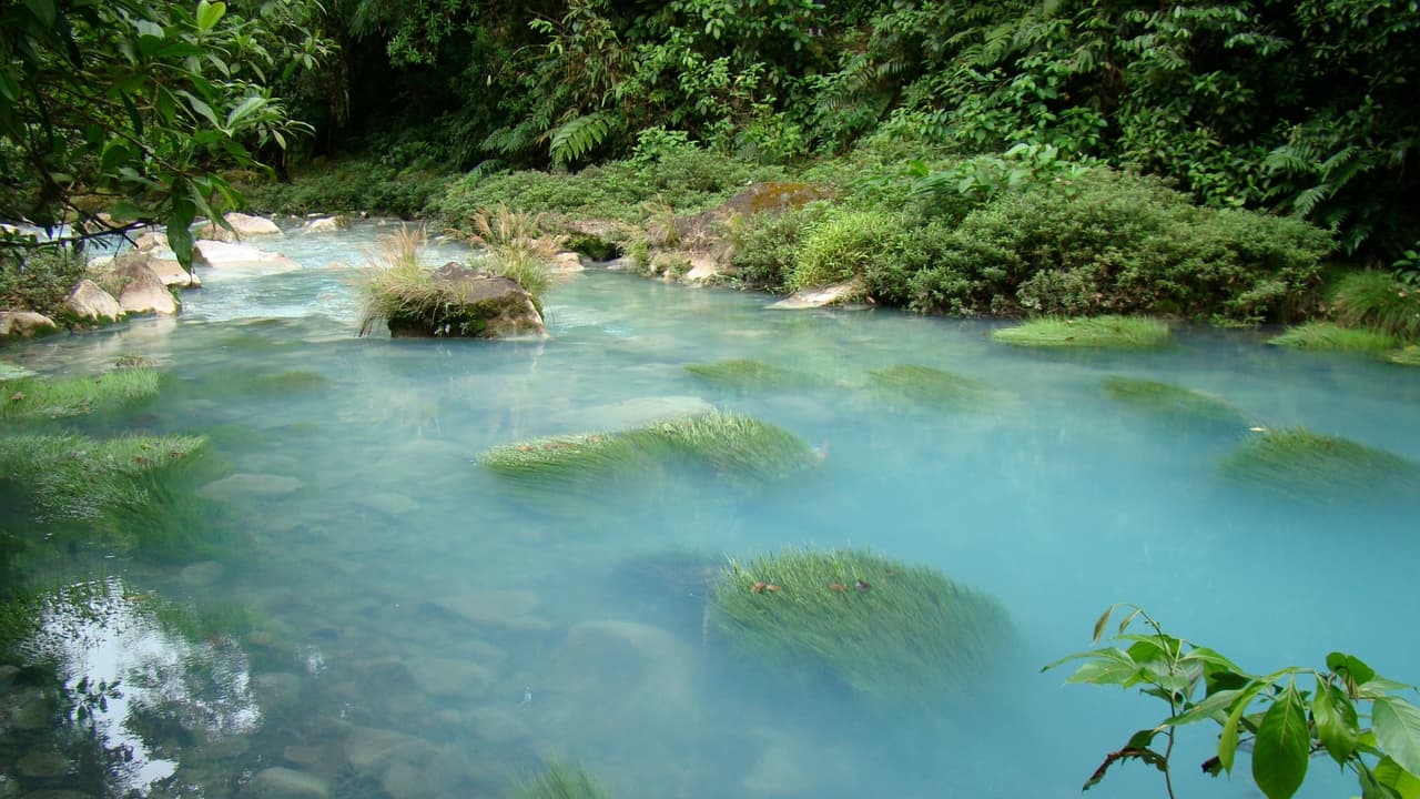 En el cantón del Guatuso de Costa Rica corre un río de color único en el mundo: Río Celeste. Su tonalidad azul claro se debe a una reacción química entre el carbonato de calcio y el azufe del Volcán Tenorio.