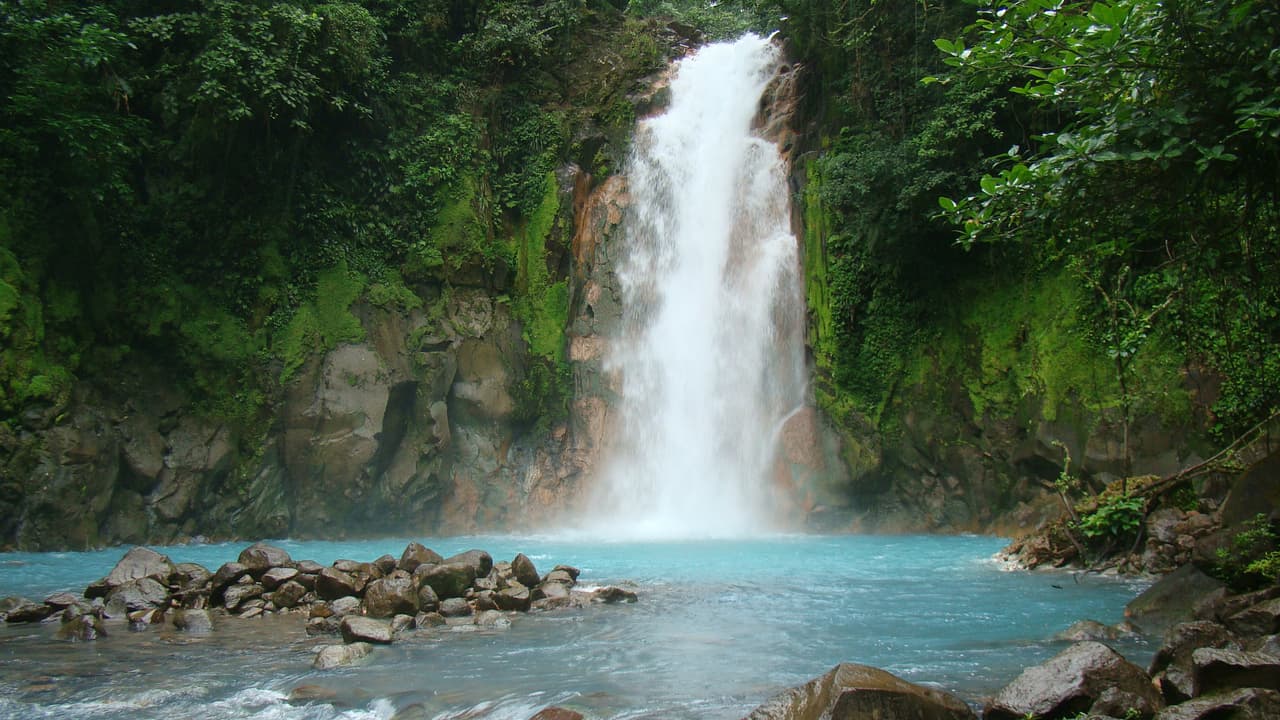 Río Celeste también tiene una de las cascadas más hermosas de Costa Rica y aguas termales naturales dentro de un majestuoso bosque tropical.