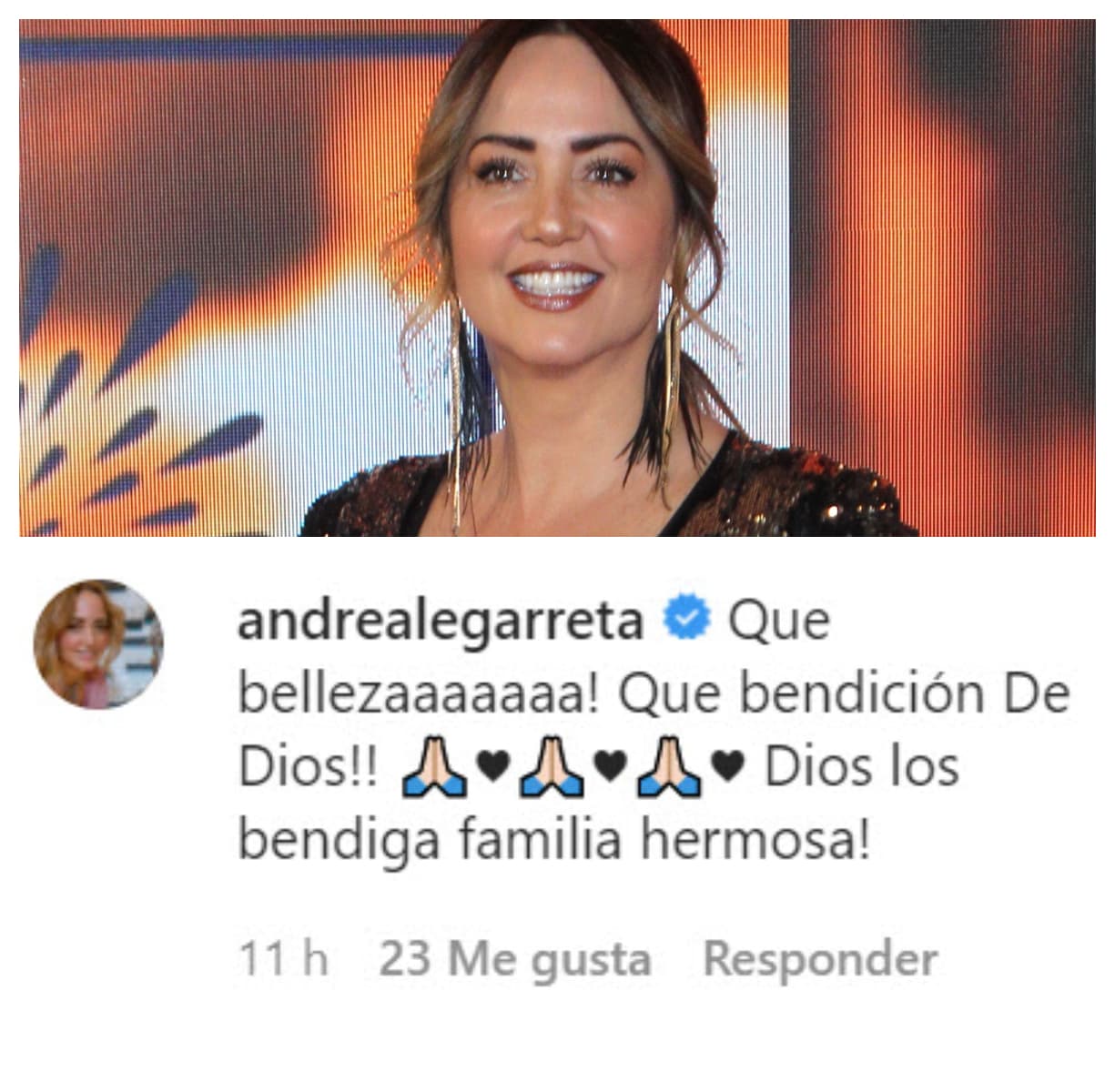 Andrea Legarreta no resistió ante la "belleza" del bebé y mandó bendiciones a la familia. 
<br>