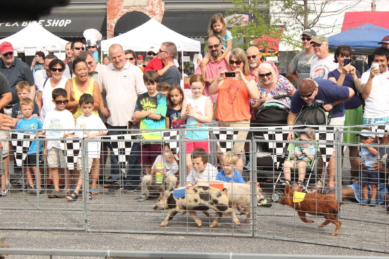 <b>Evento</b>: Peak City Pig Fest
<br>
<b>Fechas</b>: 12 y 13 de abril
<br>
<b>Lugar</b>: Apex
<br>
<b>Sitio web</b>: 
<a href="https://peakcitypigfest.com/">https://peakcitypigfest.com/</a> 
<br>
<br>Música en vivo, una cervecería al aire libre, una competencia de barbacoa y más conforman uno de los eventos más sabrosos del año en Apex.