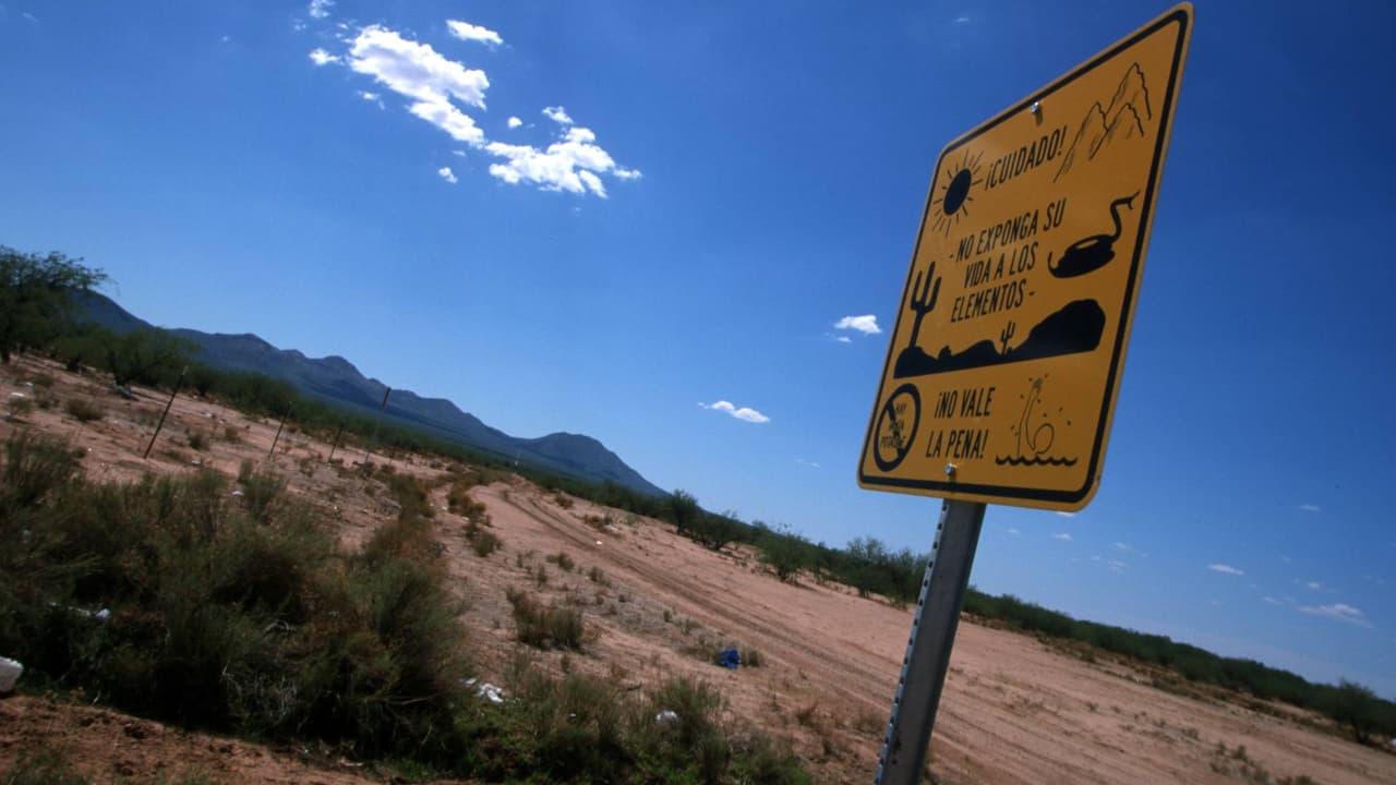 Cifras, género, edad y causas de muerte: decesos en el desierto de Arizona