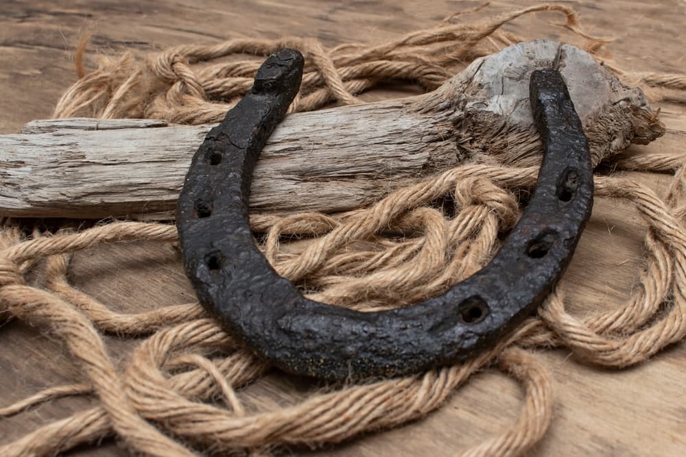 <h3 class="cms-H3-H3">El Hierro </h3>
<br>
<br>Este metal es vital si quieres escoger un amuleto para la buena suerte, sus características se asemejan mucho a la personalidad de los Aries. Es maleable, resistente, fuerte y noble como tú ariano.
<br>