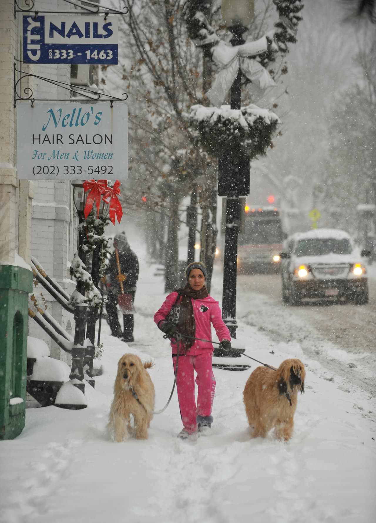 <ul>
<li style="margin: 0px; padding: 0px; border: 0px; font-size: 14px; font-weight: inherit; font-style: inherit; font-family: Antenna, Arial, "Helvetica Neue", Helvetica, sans-serif; vertical-align: baseline; line-height: 1.5;"><b>Estimulaciones, </b>si tienes un perro mayor, en las temporadas de frío son más propensos a sentir dolor en sus huesos o articulaciones. Si este es el caso, procura estimular a tu perrito a caminar en casa, estirando sus piernas o inclusive masajeándolo. Estar al pendiente de ellos será un punto clave para cuidar de él y su salud.</li>
</ul>