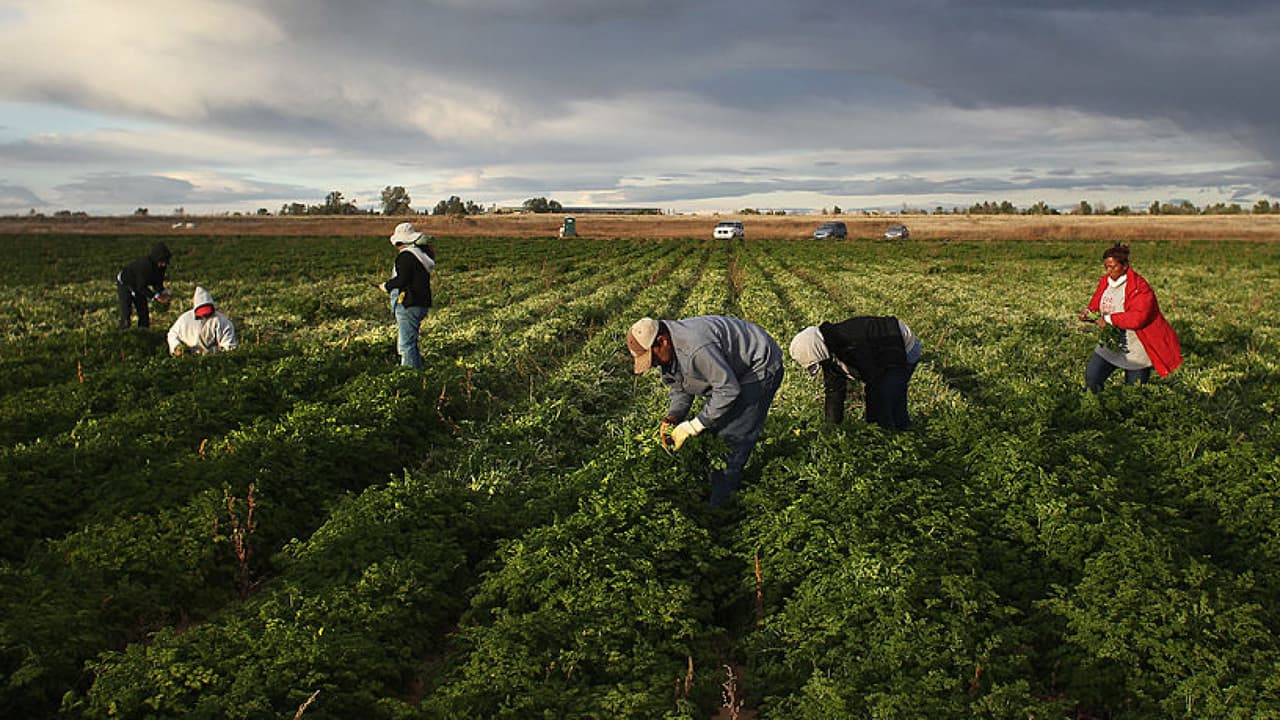 Los demócratas del Congreso presentaron este jueves un amplio proyecto de ley de inmigración respaldado por el presidente Joe Biden.