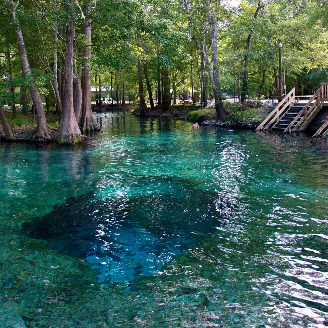 <b>Florida.</b>
<br>
<br>Este es otro de los manantiales de aguas dulces y frescas de Florida:
<b>Ginnie springs. </b>Fluyendo hacia el río Santa Fe, el manantial claro permanece a una temperatura constante de 72 grados F durante todo el año y es un destino muy escogido por nadadores, buceadores y familias.
<br>