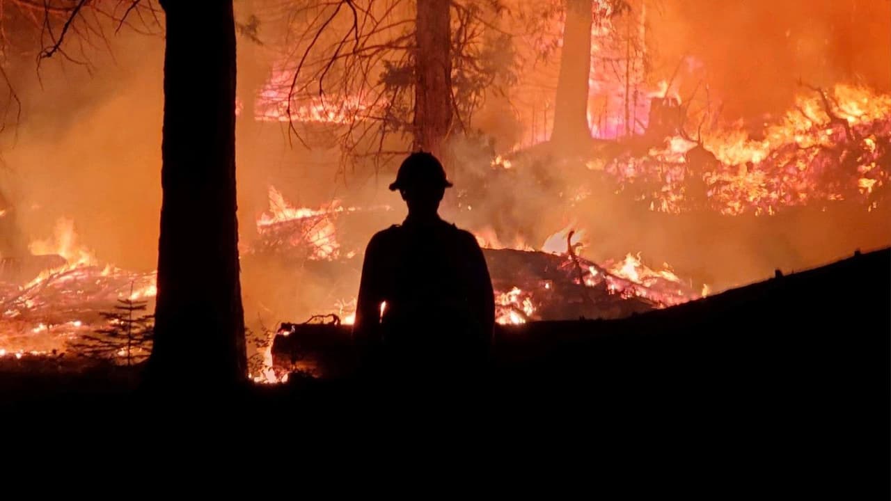 Los bomberos del condado Montgomery estuvieron combatiendo el incendio de Creek en las montañas de Sierra Nevada al este de Fresno.