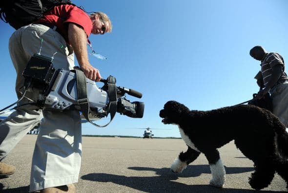 Bo ha aprendido a ignorar las cámaras que siguen a su familia.