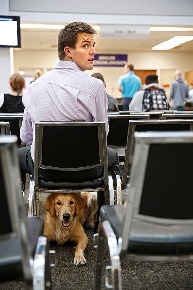 Danny Hatfield de Denver, Colorado, acudió a votar en compañía de "Lucy", su mascota, que luce muy relajada pese a la espera.