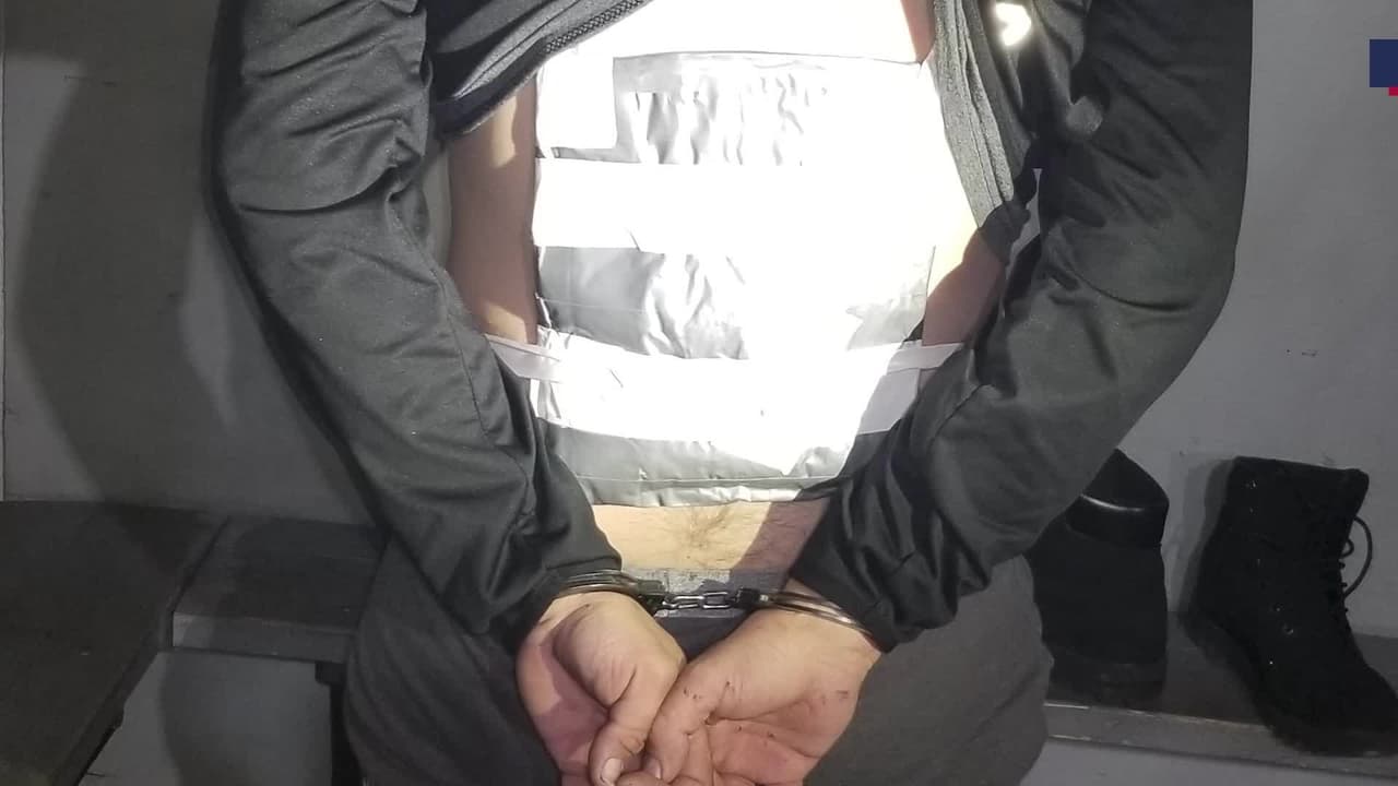 El ingenio del narcotráfico para cruzar fentanilo descubierto por un canino