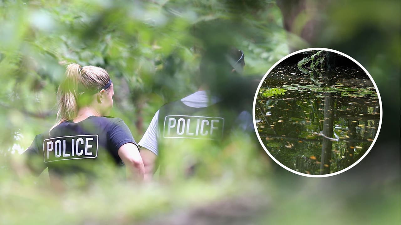 Encuentran un feto flotando en el estanque de un parque en The Woodlands