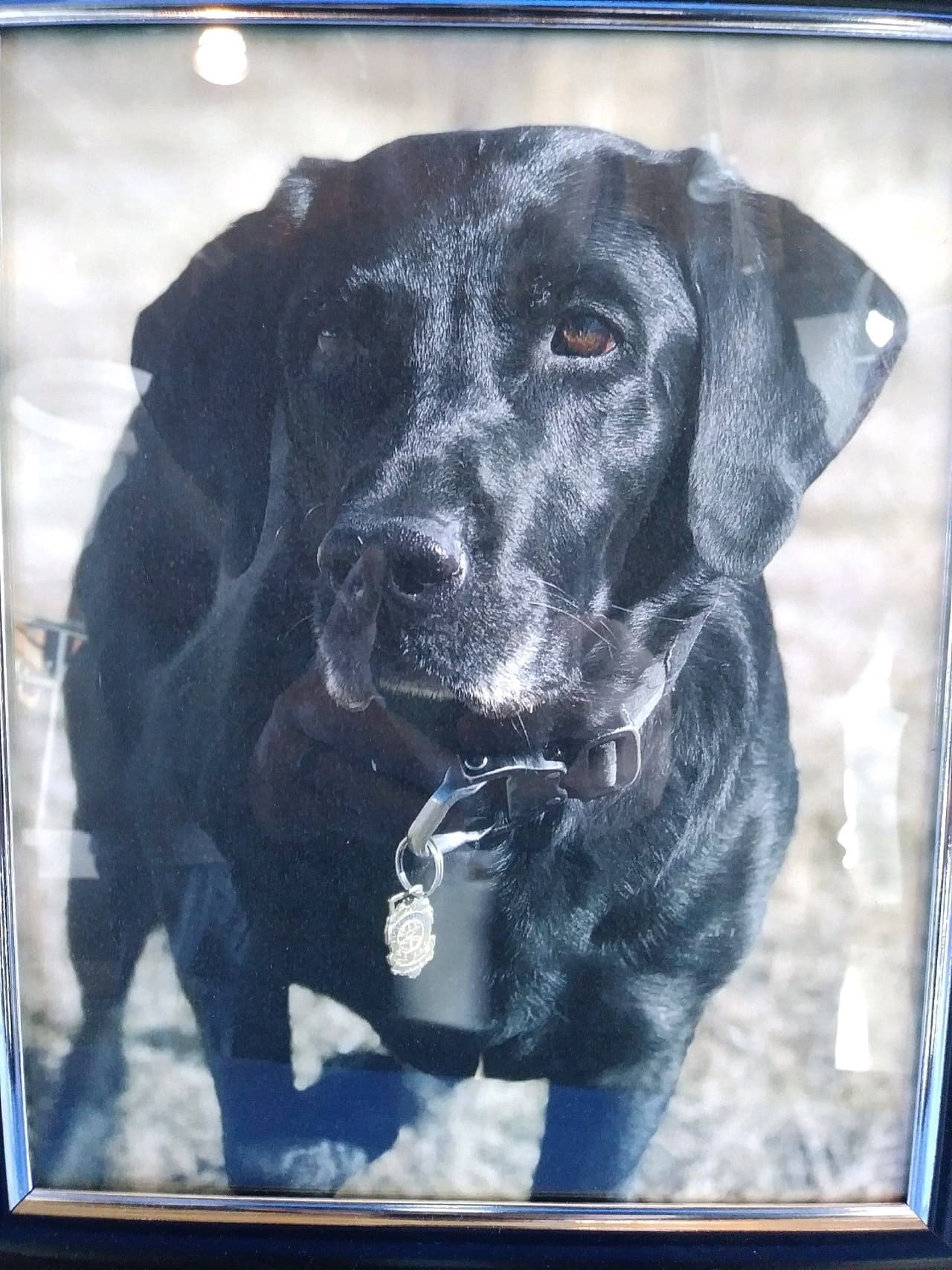 Departamento de Bomberos de Fort Worth jubilan a un miembro muy especial